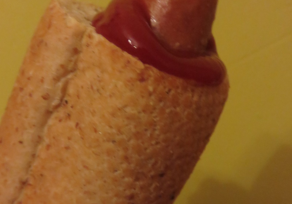 prosty hot dog  foto