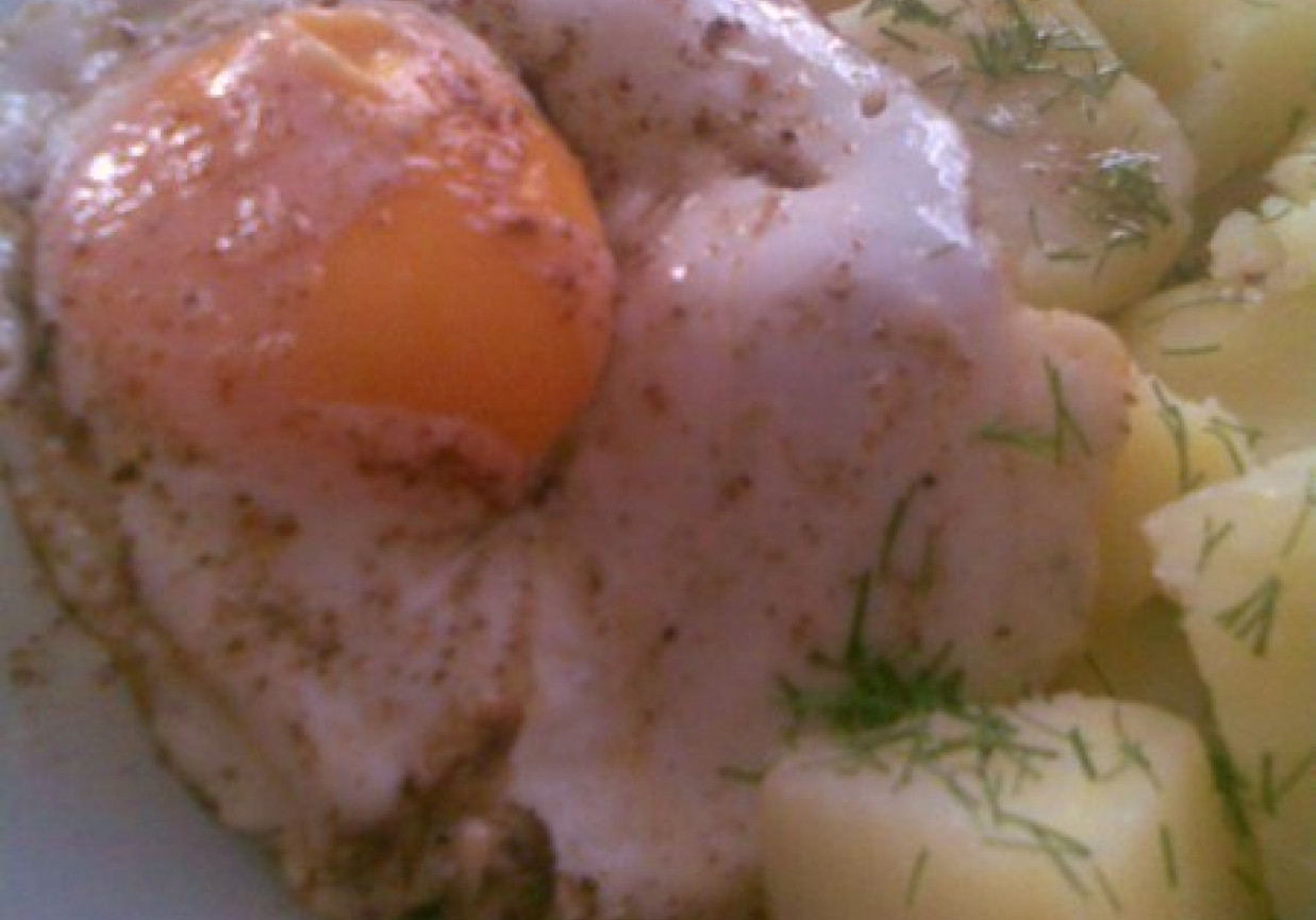 Prosty obiad - jajko sadzone foto