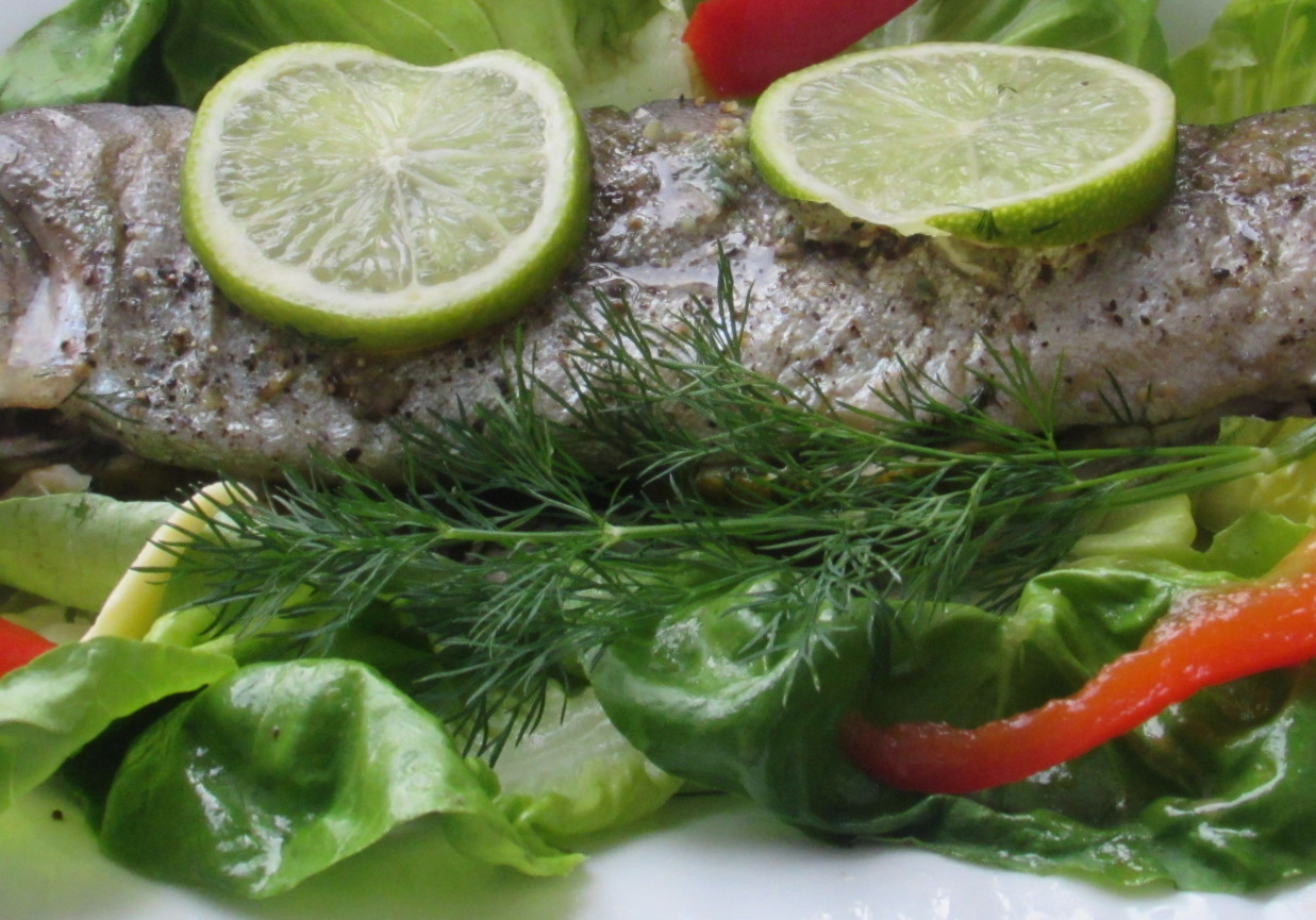 Pstrąg z masłem i koperkiem foto