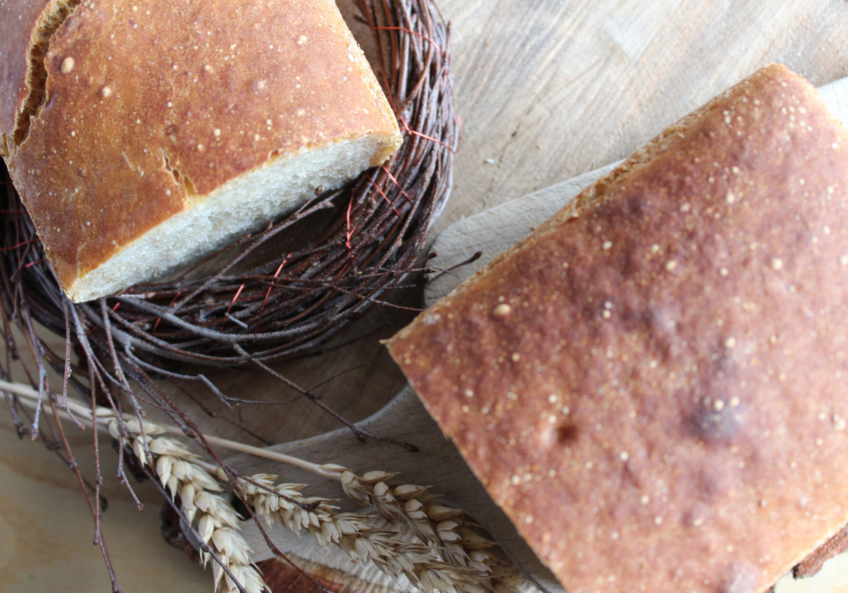 Pszenny chleb z piwem na zakwasie foto