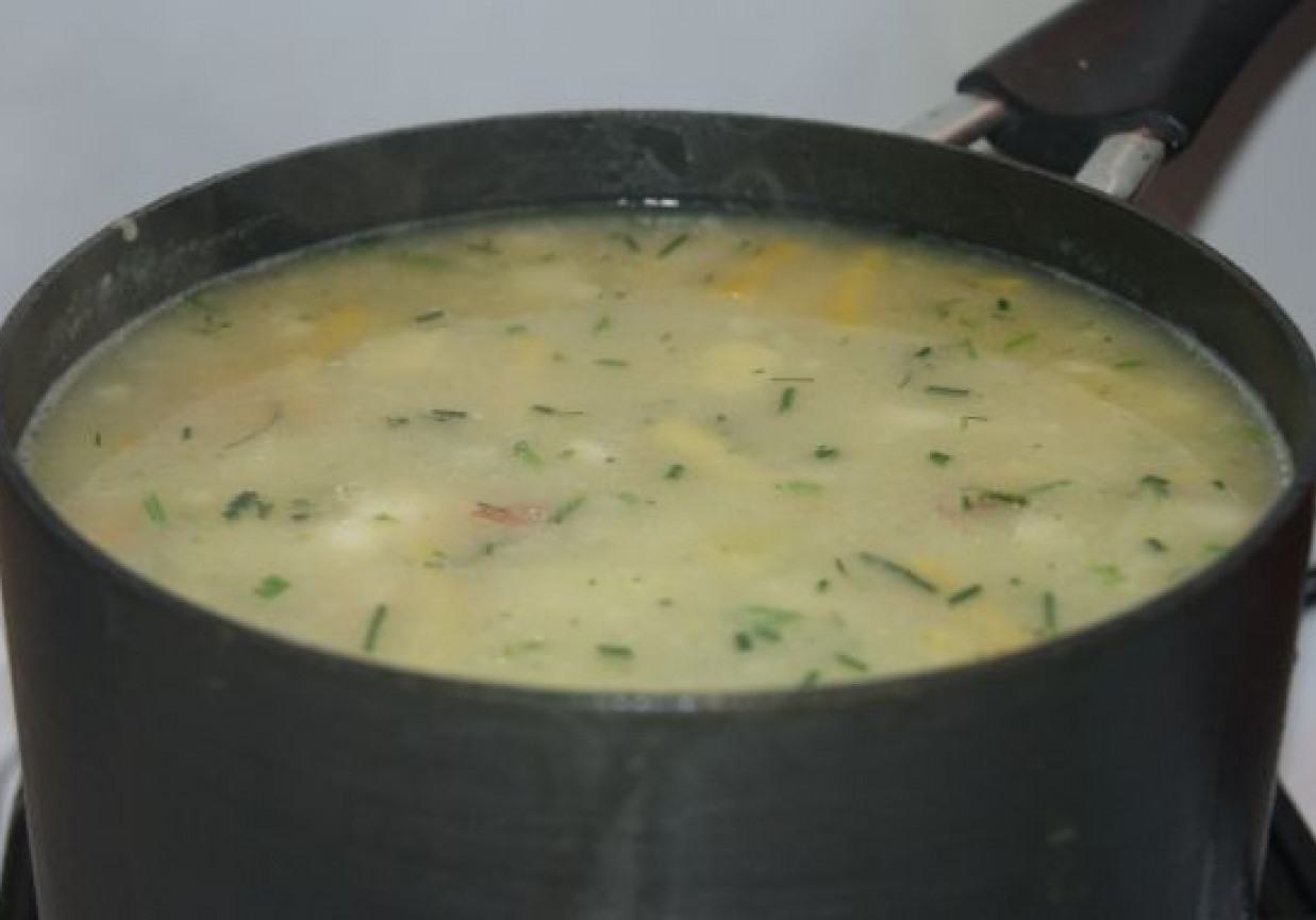 Pyszna zupa ze świeżych warzyw foto