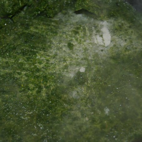 Krok 1 - ROLADA SZPINAKOWA Z ŁOSOSIEM NORWESKIM foto