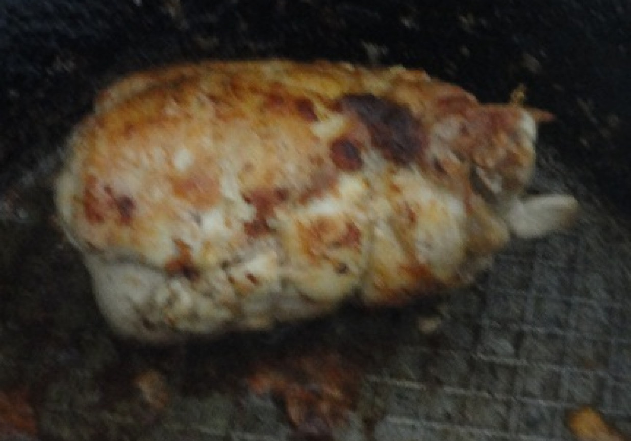 roladka z kurczaka z szynka papryka i serem foto