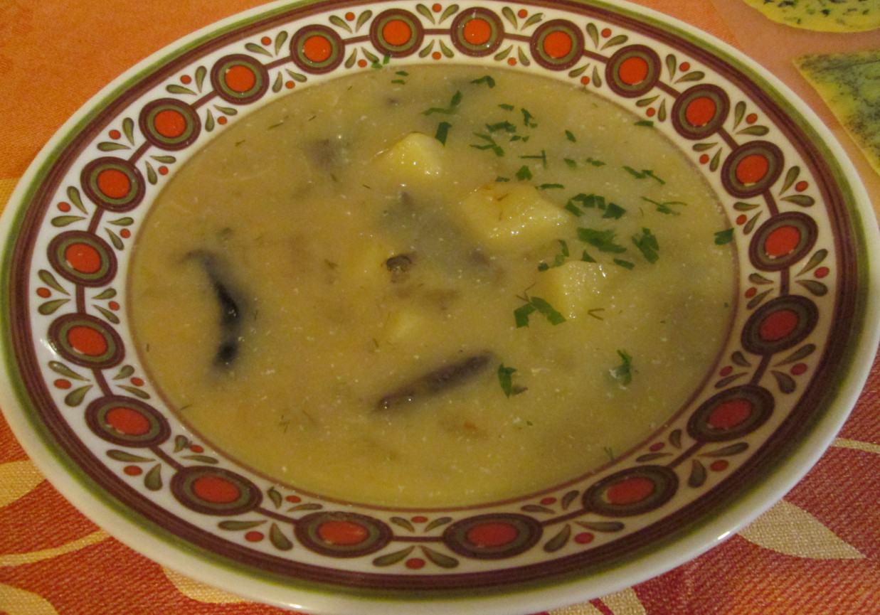 Rosyjska zupa jesienna foto