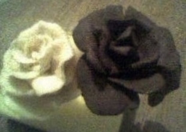 Fotografia przedstawiająca Róże z plastycznej czekolady