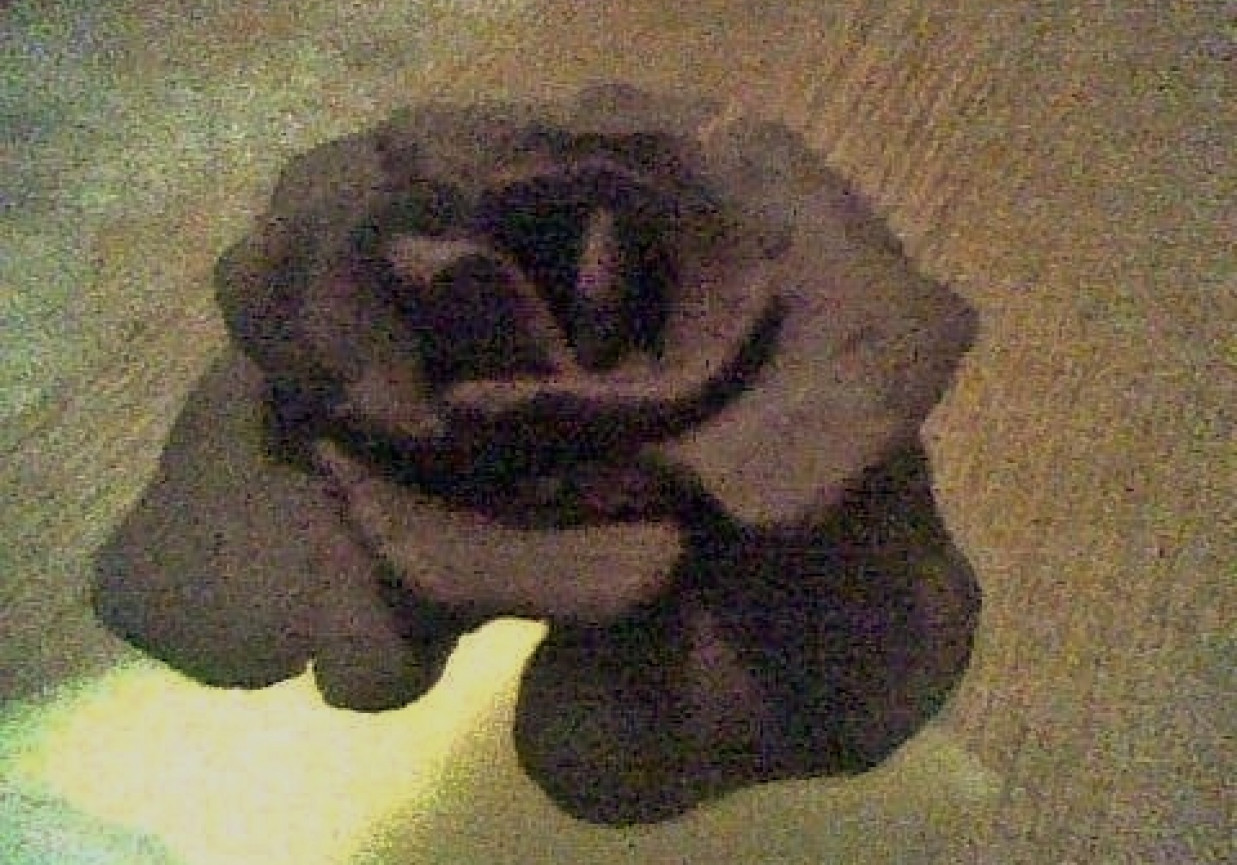 Róże z plastycznej czekolady foto