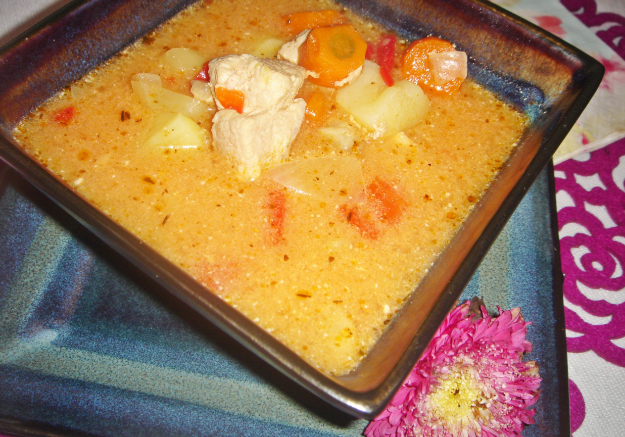 Rozgrzewająca zupa a'la gulaszowa ze schabem i warzywami foto