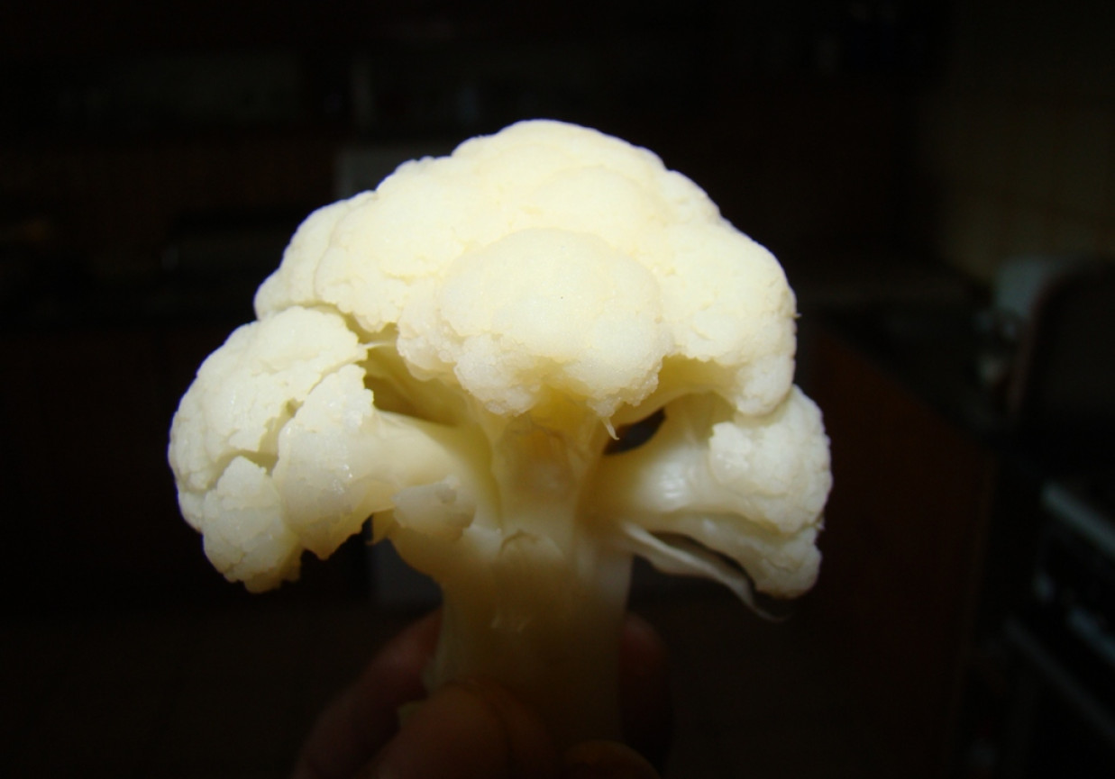 Różyczki kalafiora w panierce foto