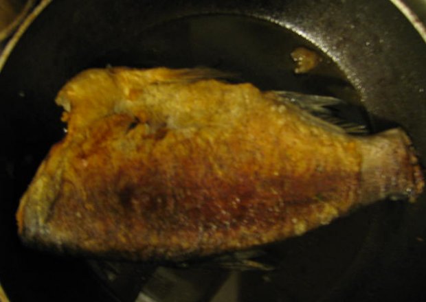 Fotografia przedstawiająca Ryba