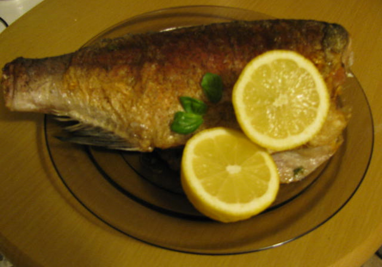 Ryba foto