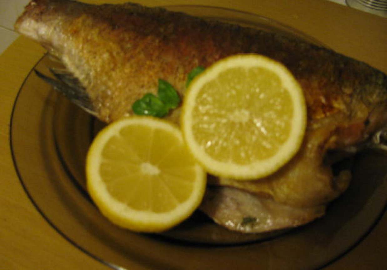 Ryba foto