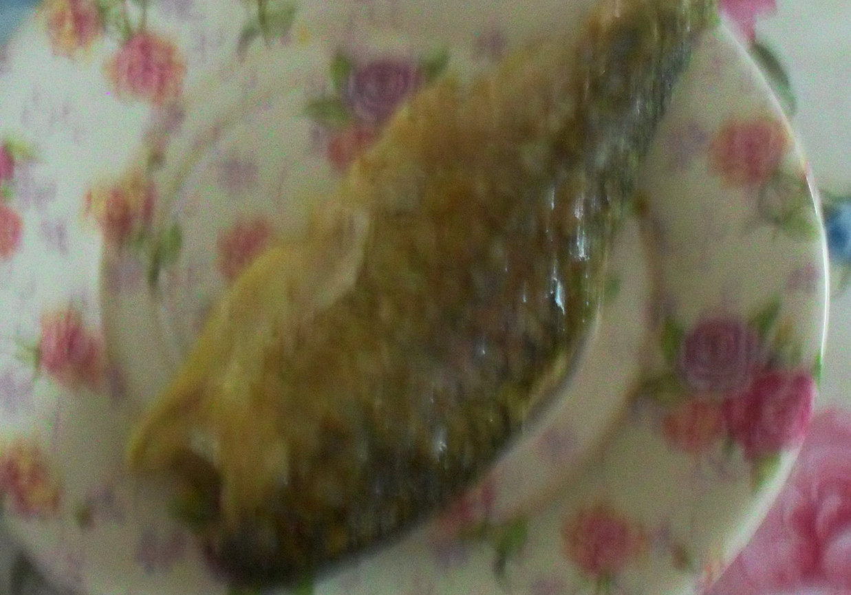 ryby w otcie foto