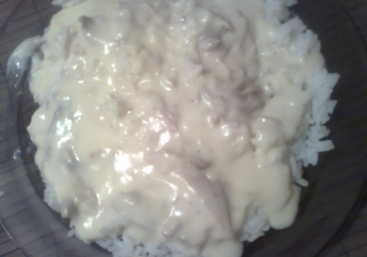 ryż z kurczakiem sosie śmietanowym foto