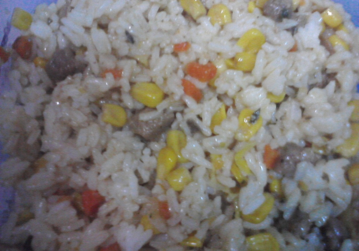 ryż z mięsem gyros foto
