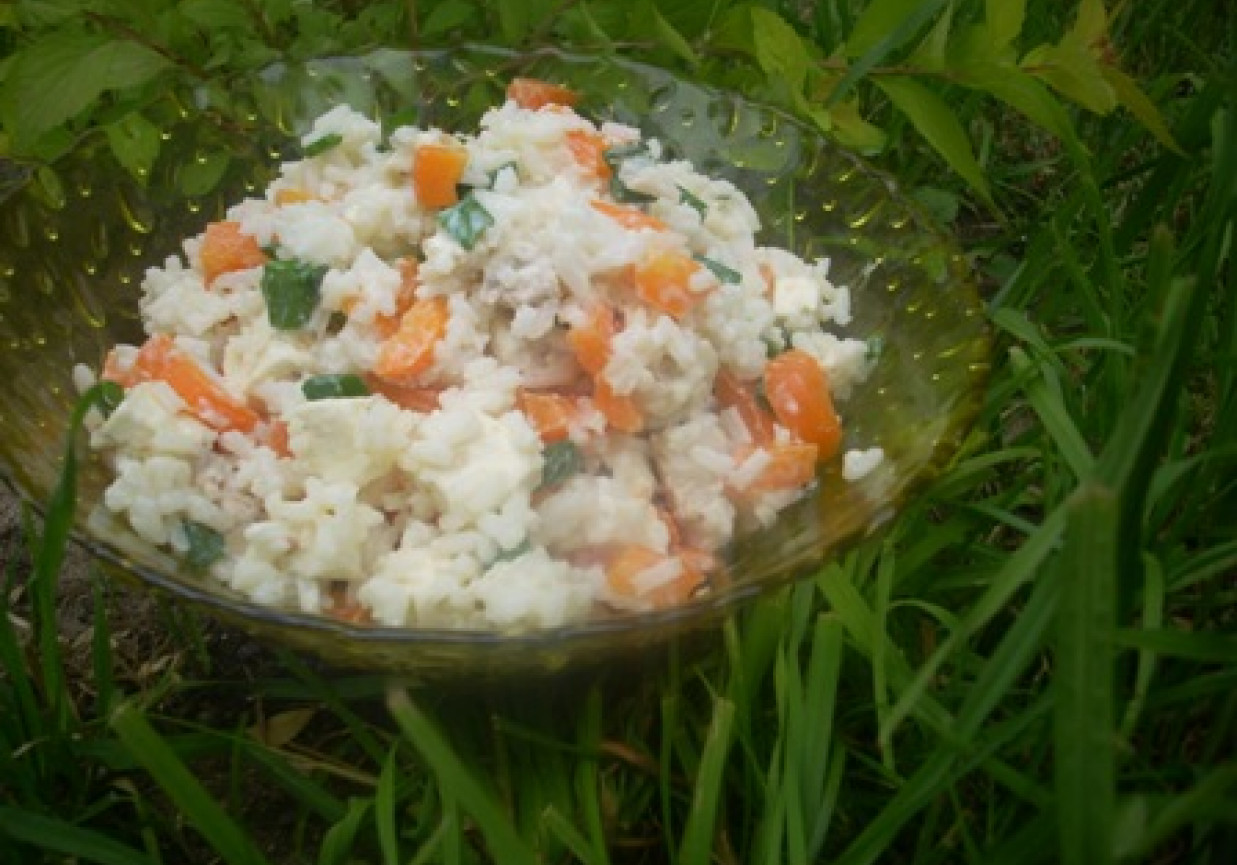 ryżowa sałatka  z orzechowym serem foto