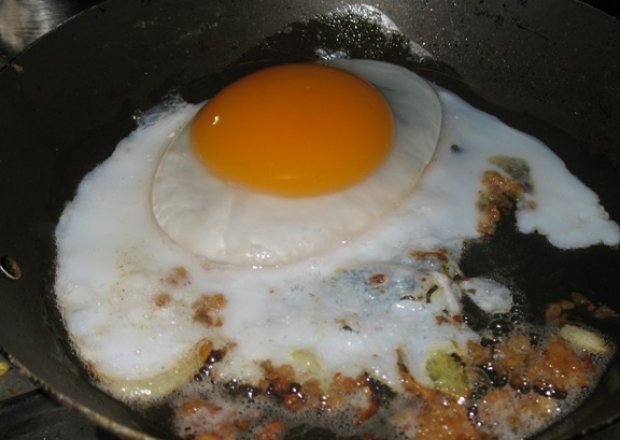 Fotografia przedstawiająca Sadzone gęsie jajo