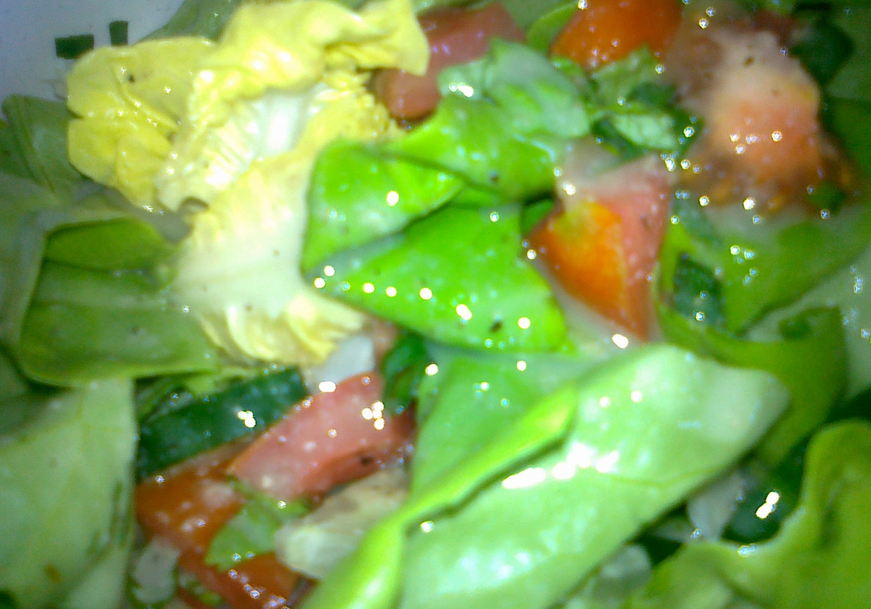 salata do obiadu foto
