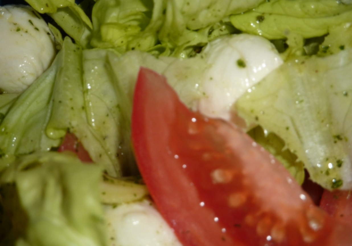 Sałata z mozzarellą i avocado foto