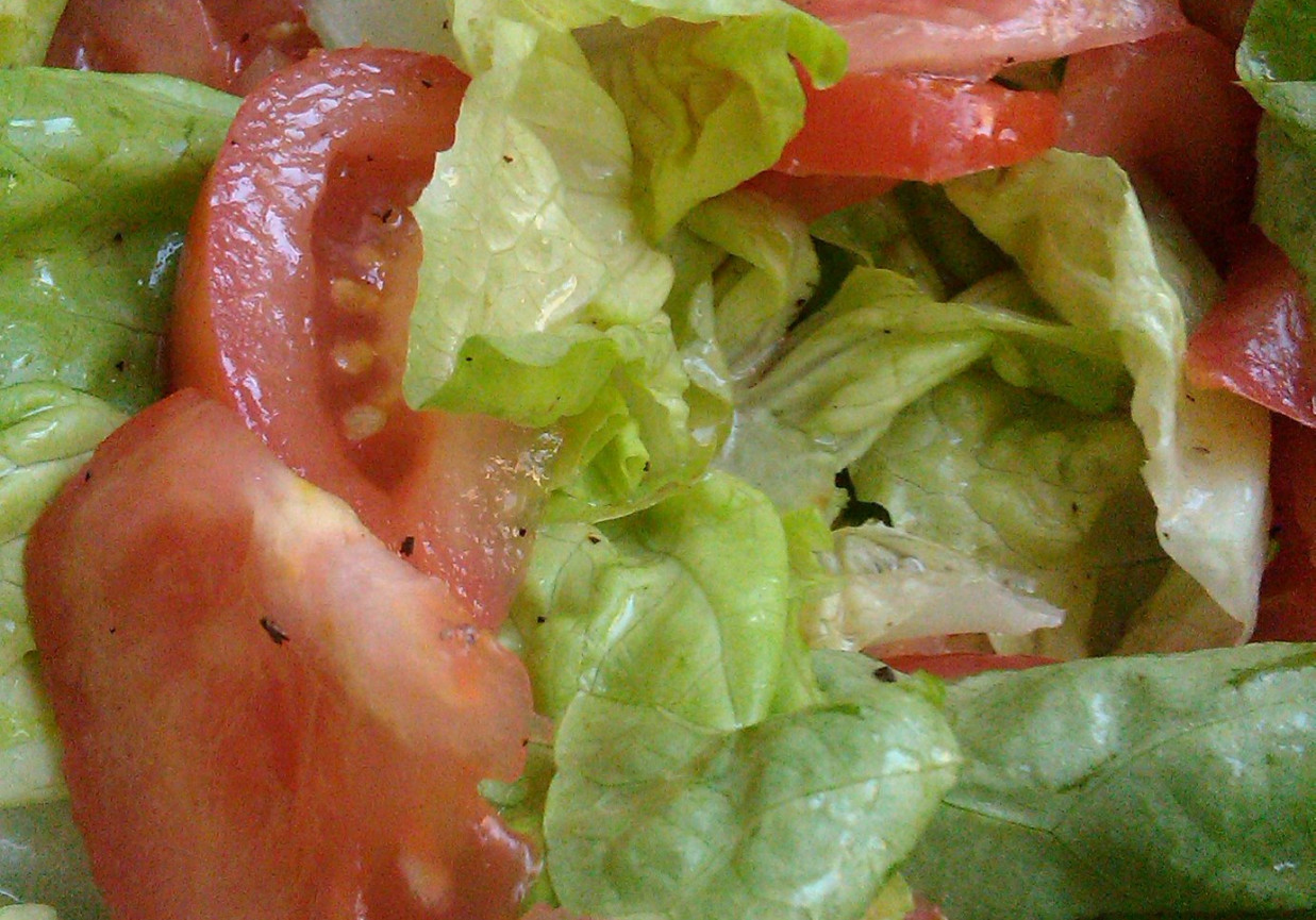 Sałata z pomidorem foto