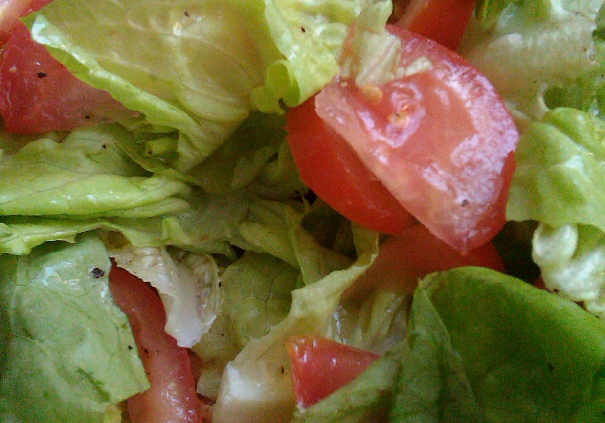 Sałata z pomidorem foto