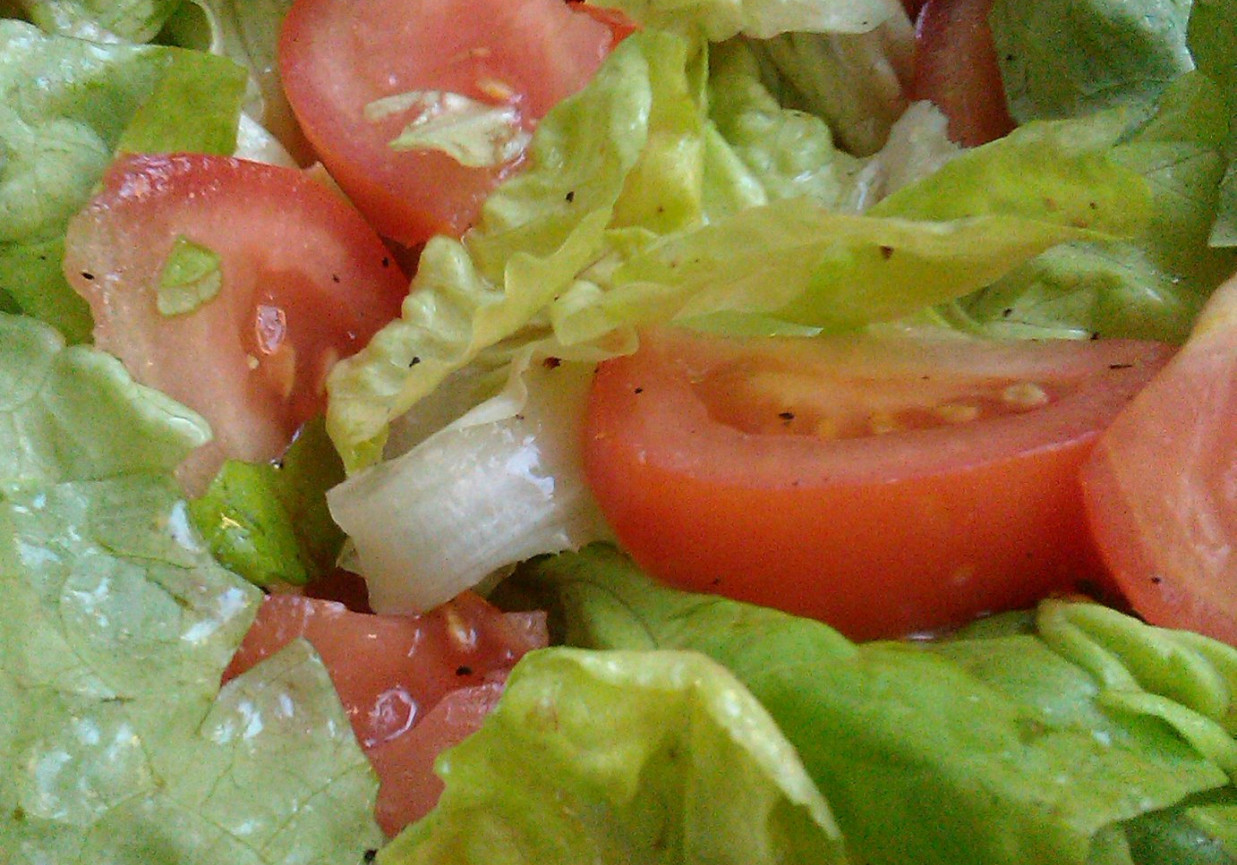 Sałata z pomidorem foto