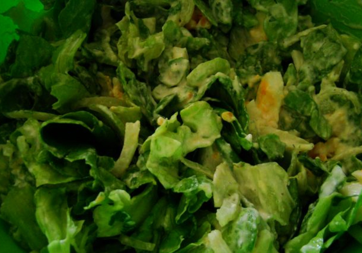 Sałata zielona z sosem czosnkowym foto