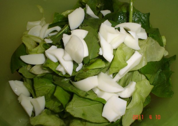 Fotografia przedstawiająca Sałatka do obiadu z sałaty masłowej, liści szpinaku i jogurtu