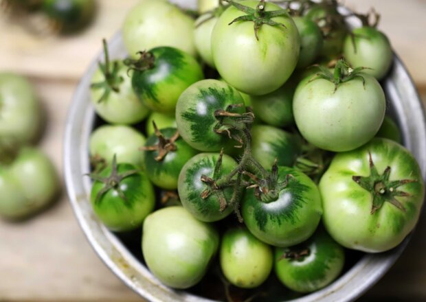 Fotografia przedstawiająca Sałatka do słoików z zielonych pomidorów