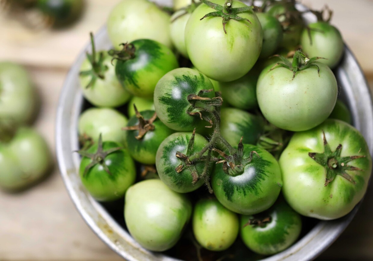 Sałatka do słoików z zielonych pomidorów foto
