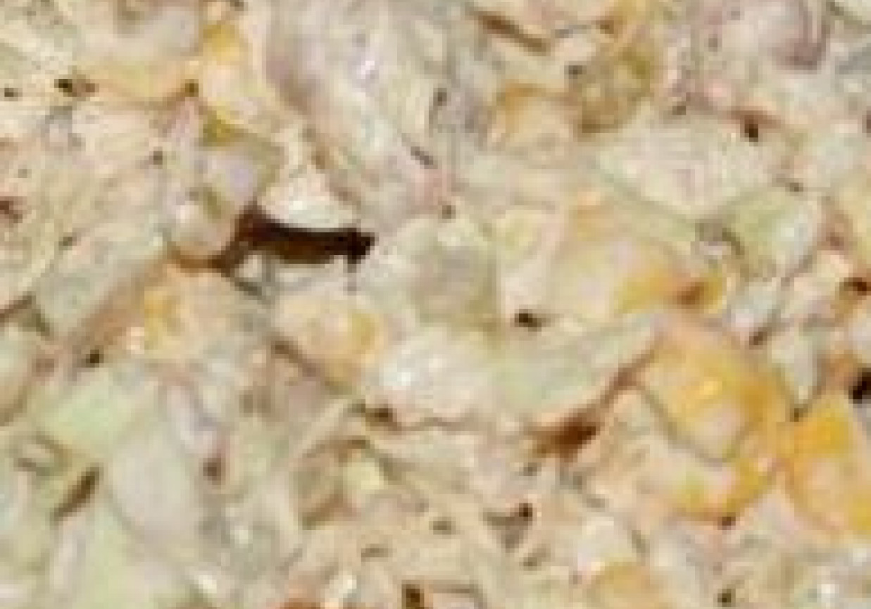 Sałatka Kebab Gyros foto