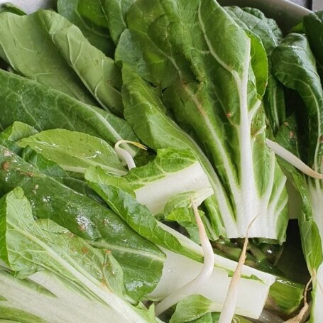Krok 3 - Sałatka na ciepło - szparagi , kiełki fasoli i pak choi foto