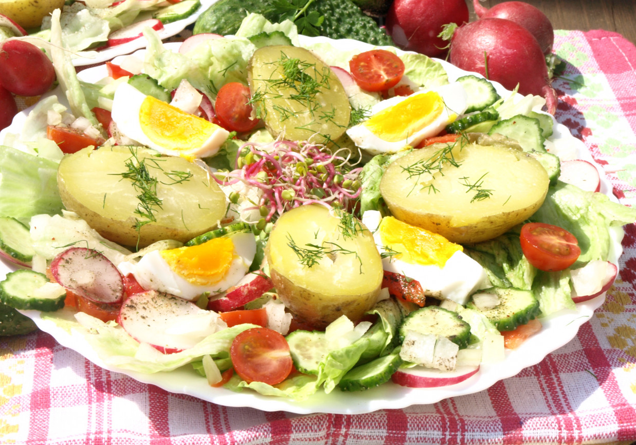 Sałatka obiadowa z jajkiem i młodymi ziemniakami foto