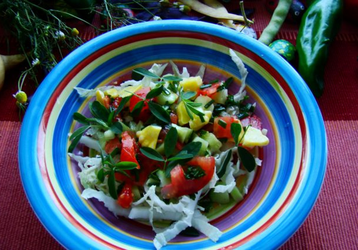 Sałatka obiadowa z lucerną foto