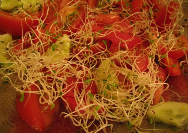 Fotografia przedstawiająca Sałatka pomidorowa  z lucerną