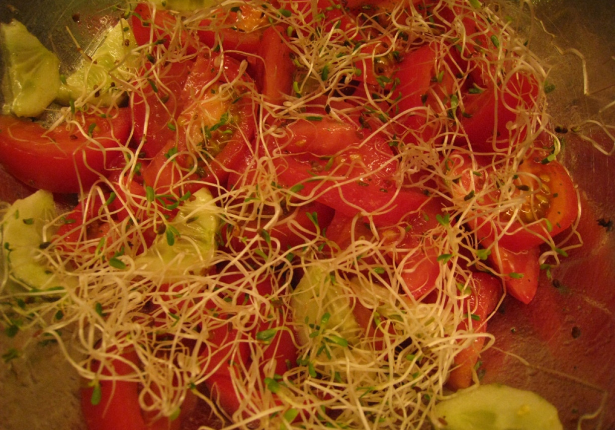 Sałatka pomidorowa  z lucerną foto
