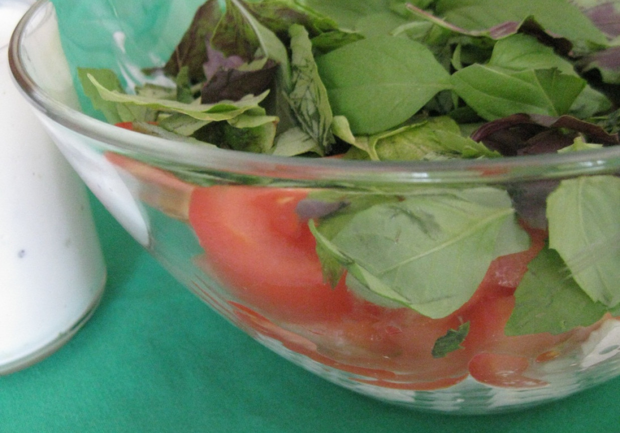 Sałatka pomidorowa z sosem czosnkowym foto