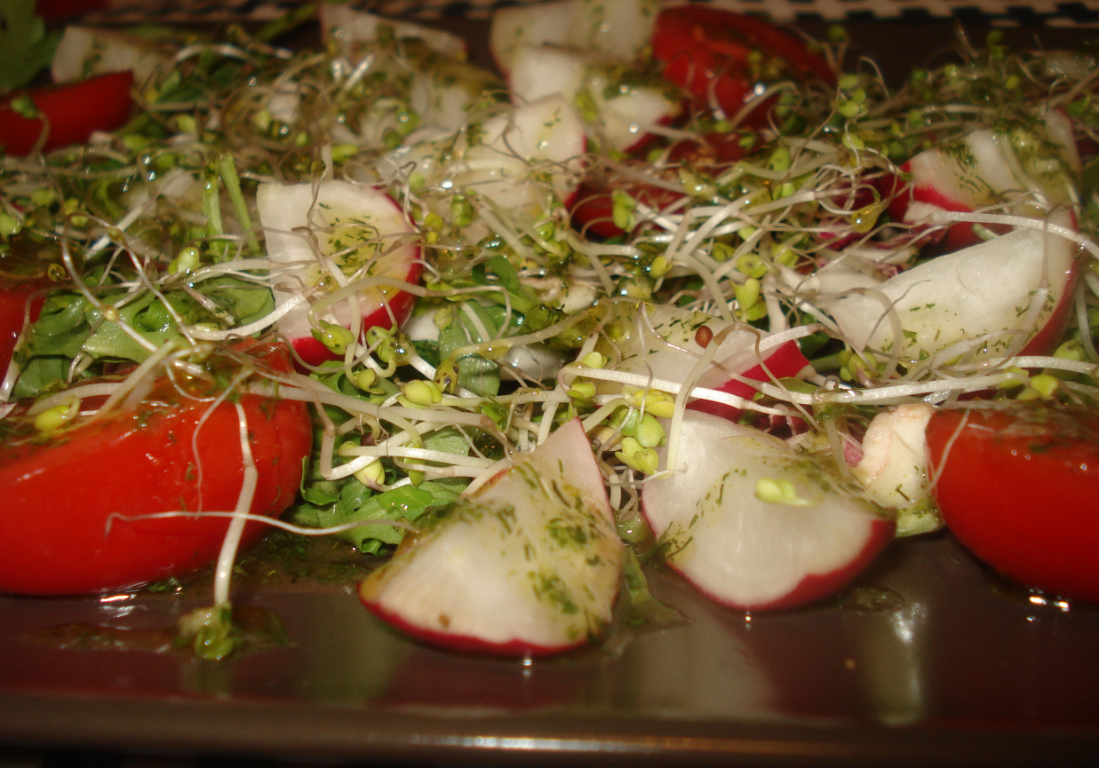 Sałatka warzywna z sosem koperkowo- ziołowym foto