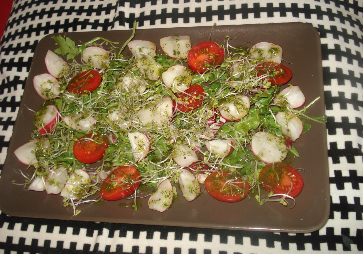 Sałatka warzywna z sosem koperkowo- ziołowym foto