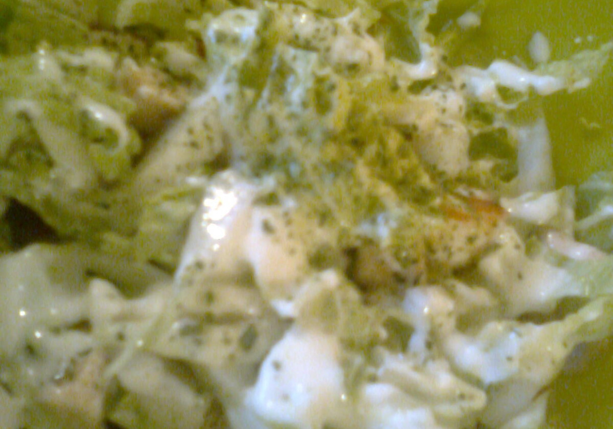 Sałatka z fileta z kurczaka z sosem jogurtowo-ziołowym foto
