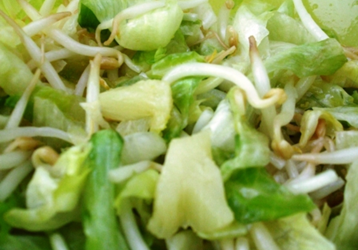 Salatka z kielkami foto