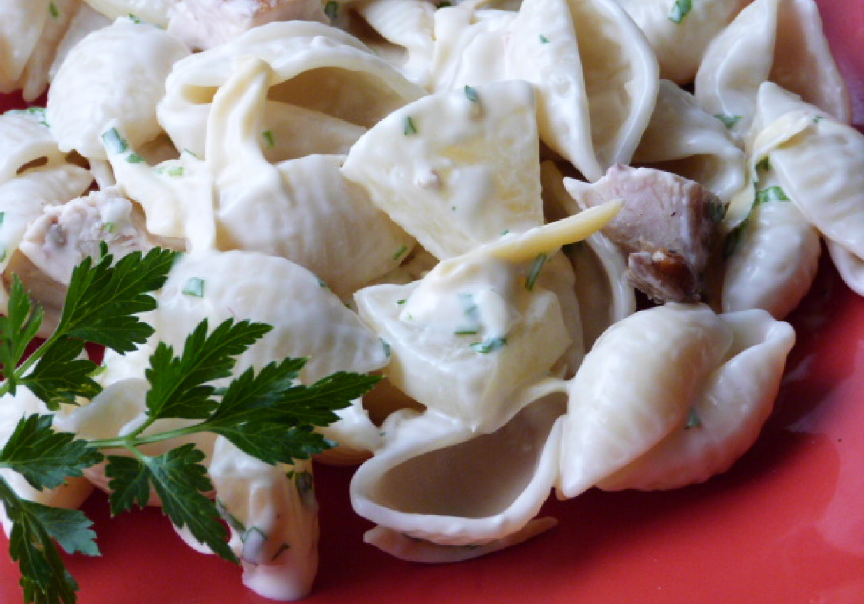 Sałatka z kurczaka z makaronem foto