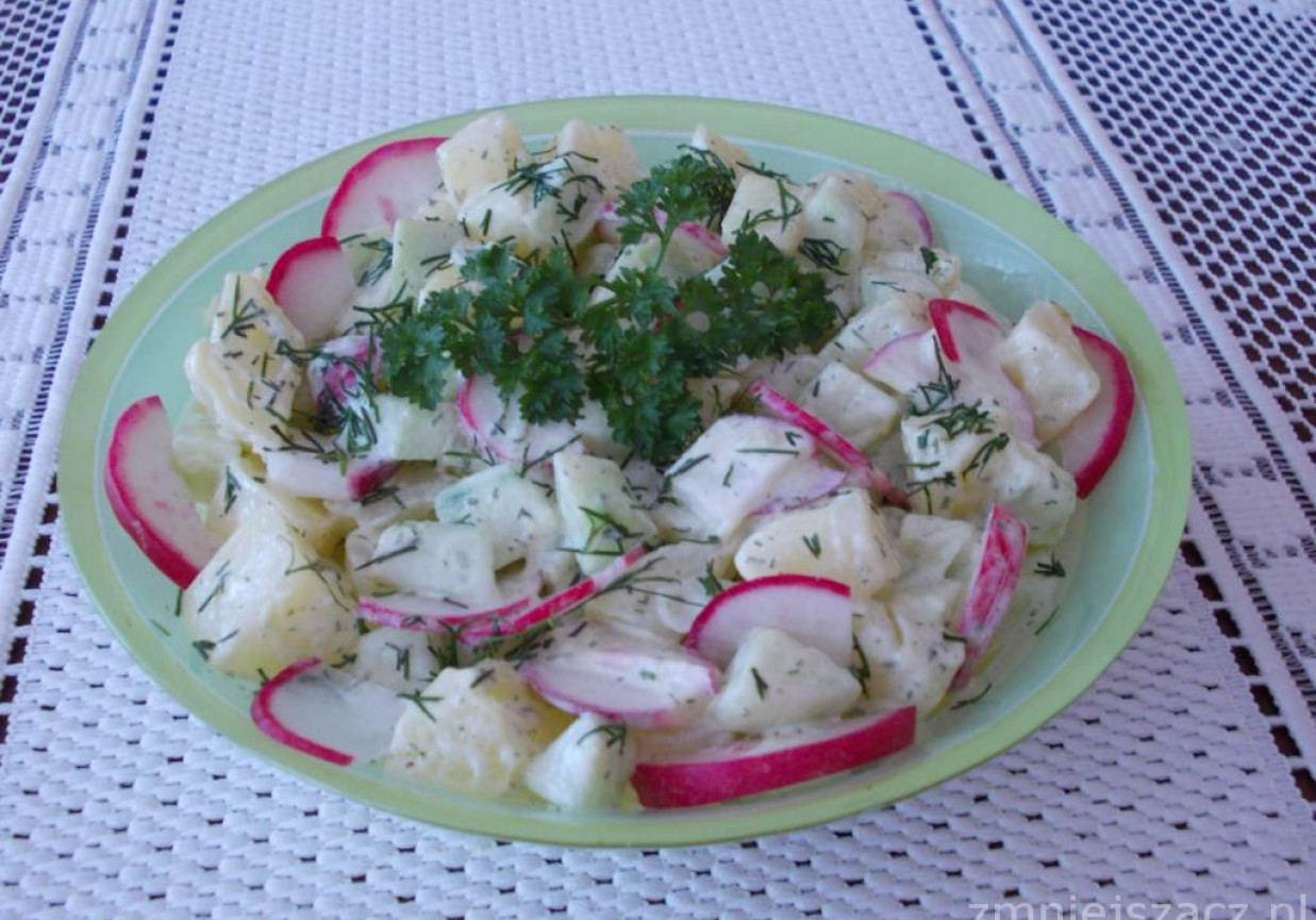 Sałatka z młodych ziemniaków, ogórka i rzodkiewki. foto