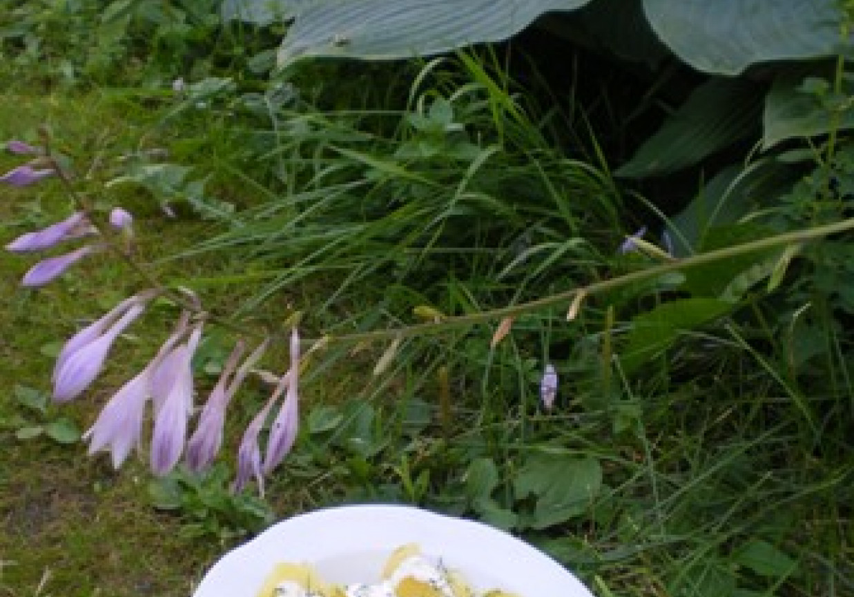 Sałatka z młodych ziemniaków z sosem czosnkowym foto