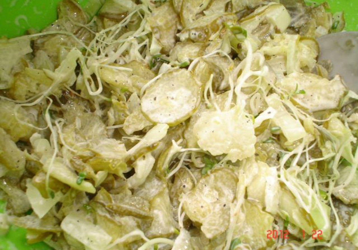 Sałatka z ogórków kiszonych i cebuli do obiadu foto