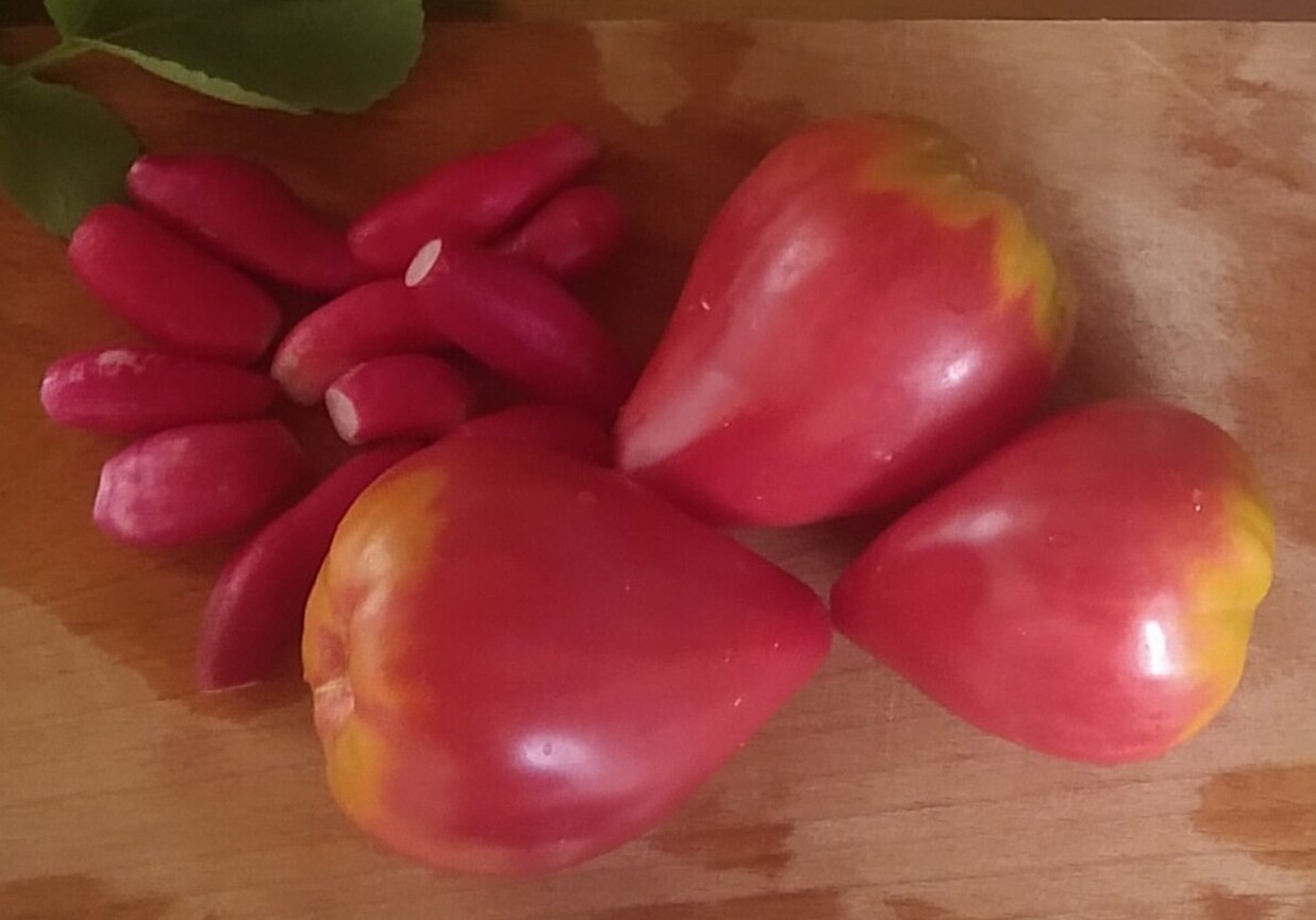 Sałatka z pomidorów i rzodkiewek foto