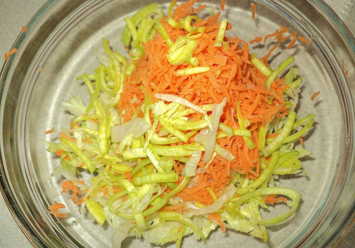 Sałatka z pora ,marchewki i kapusty z sosem śmietanowo - majonezowym foto