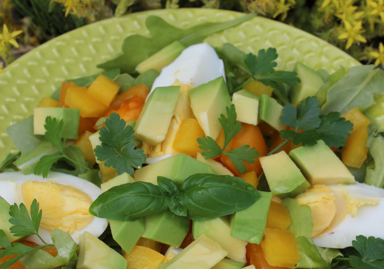 Sałatka z rukoli z żółtym i pomidorami i papryką foto