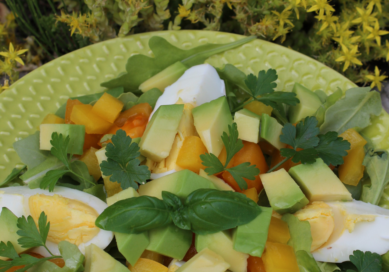 Sałatka z rukoli z żółtym i pomidorami i papryką foto