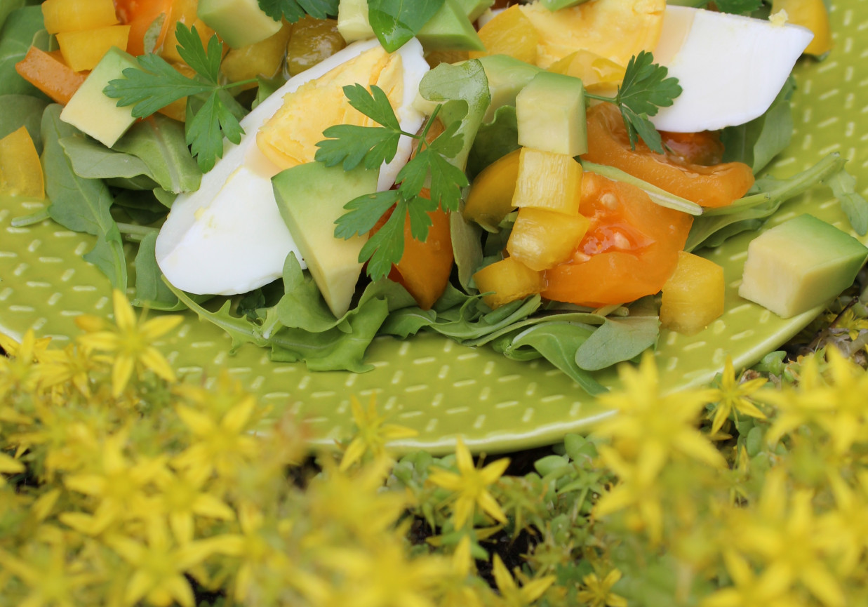 Sałatka z rukoli z żółtym i pomidorami i papryką foto