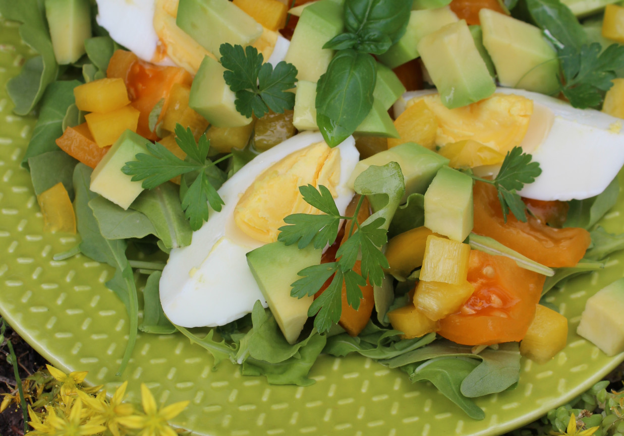 Sałatka z rukoli z żółtym i pomidorami i papryką foto